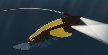 Open water-legs motion blur2.png