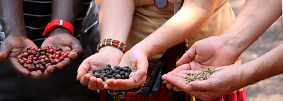 Shalom Coffee Box Photo .jpg