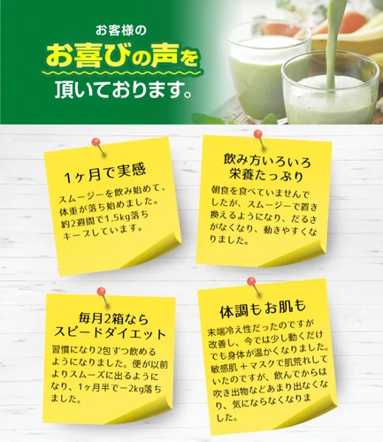 エヴァグリーン酵素スムージー 5g×30包入 | レイティスペリテ