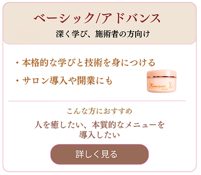 Kimeguriアカデミーベーシックアドバンスコース（ビジネスコース）