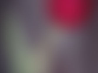 February 2021 - 3rd Monthly - Red Tulip  by Kenneth Goodfellow / The Story