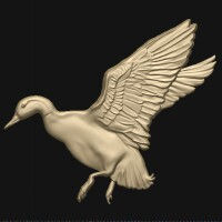 Duck No.11661741876.jpg