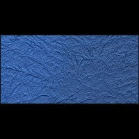 Bush 31661740787.jpg