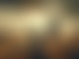 The Warriors Loyalty