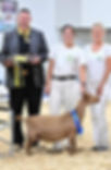 Dam: 2024 Nat'l GCH Wolfivan CQ Ginger Root (PC Wolfivan Ranch)