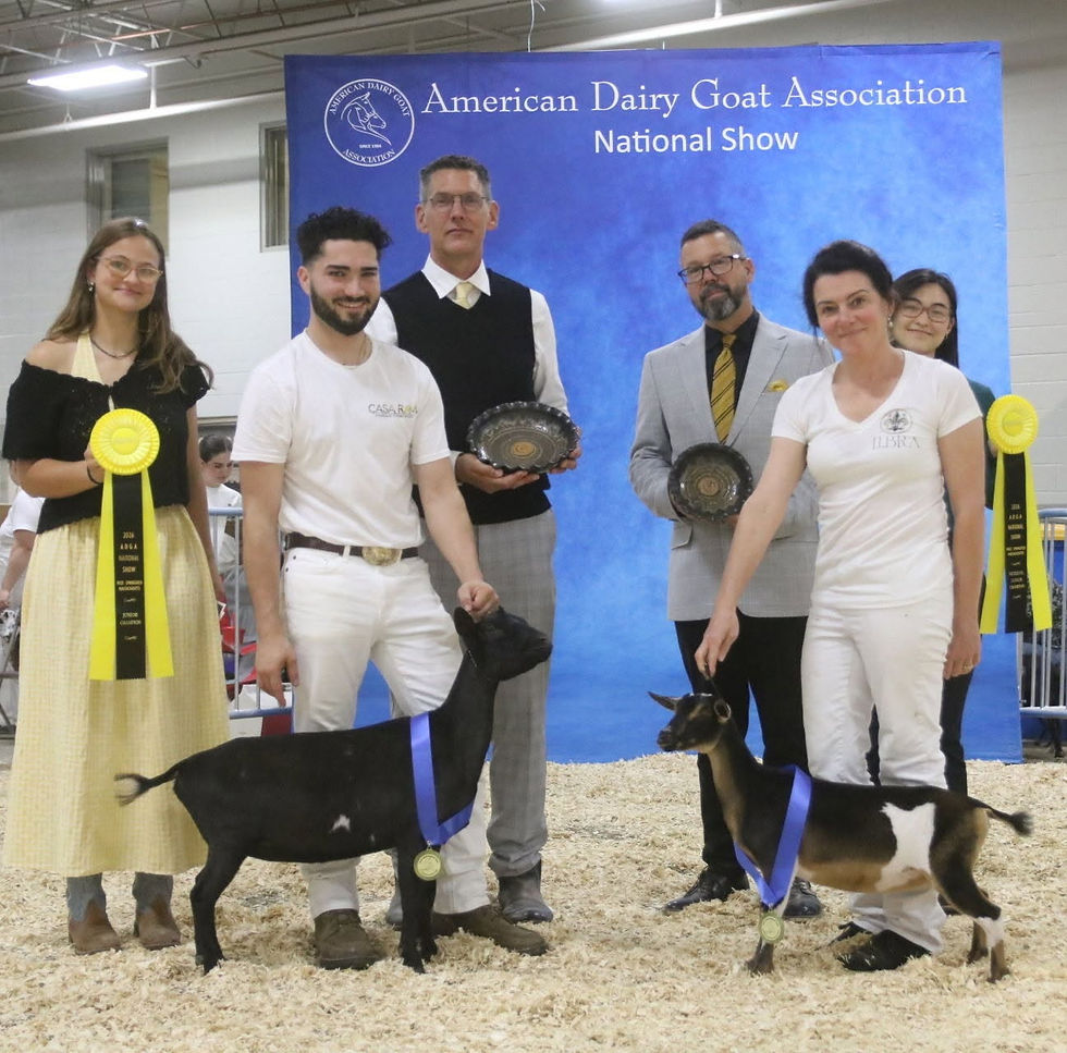 Dragonfly SD Liberation earning 2026 National's Reserve Junior Champion