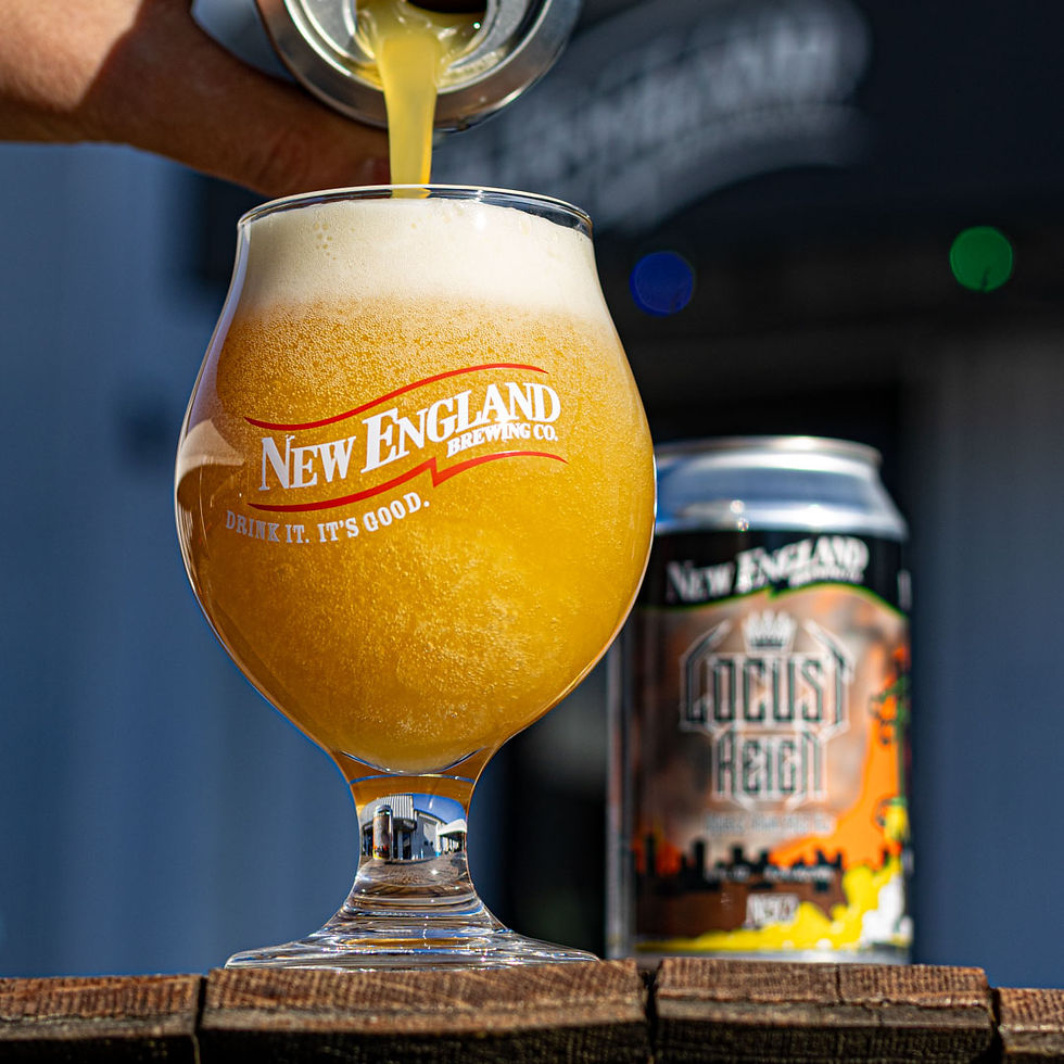 Locust Reign Web Image-3.jpg