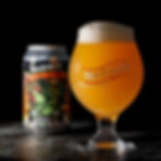 Locust Reign Web Image-4.jpg