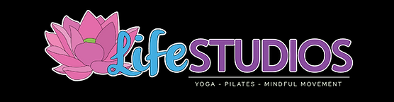Copy of Horizontal Logo Black (1320 x 300 px).png
