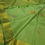 Thumbnail: Green Coloured With Gold Jari Border Traditional Silk Sarees