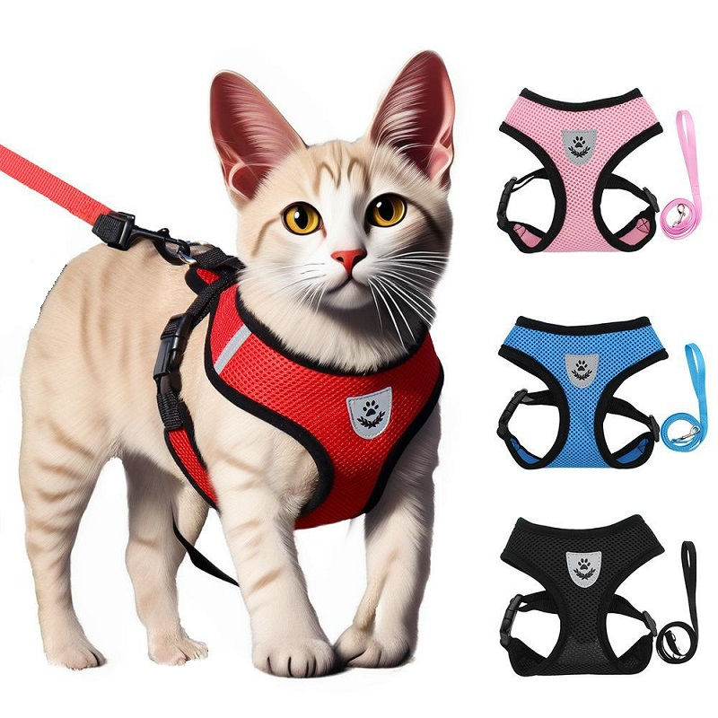 Cat Harness & Leash Kit ā Safer Outdoor Adventures