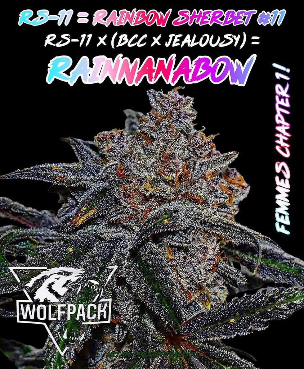 Rainnanabow