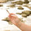 Thumbnail: Brain Wave