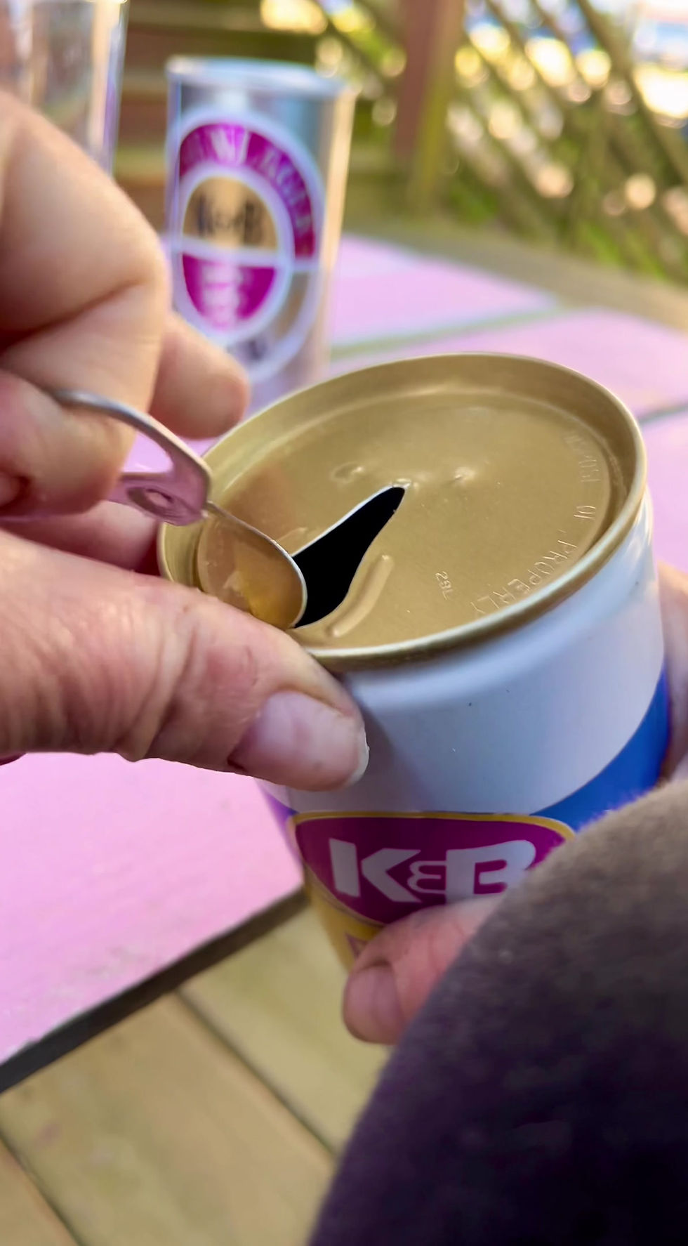 Thumbnail: Porch Party 02