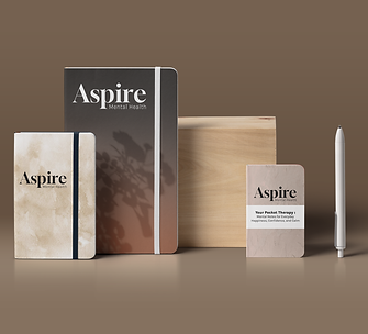 aspire-notebooks.png