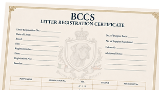 BCCS - Litter Registration.png