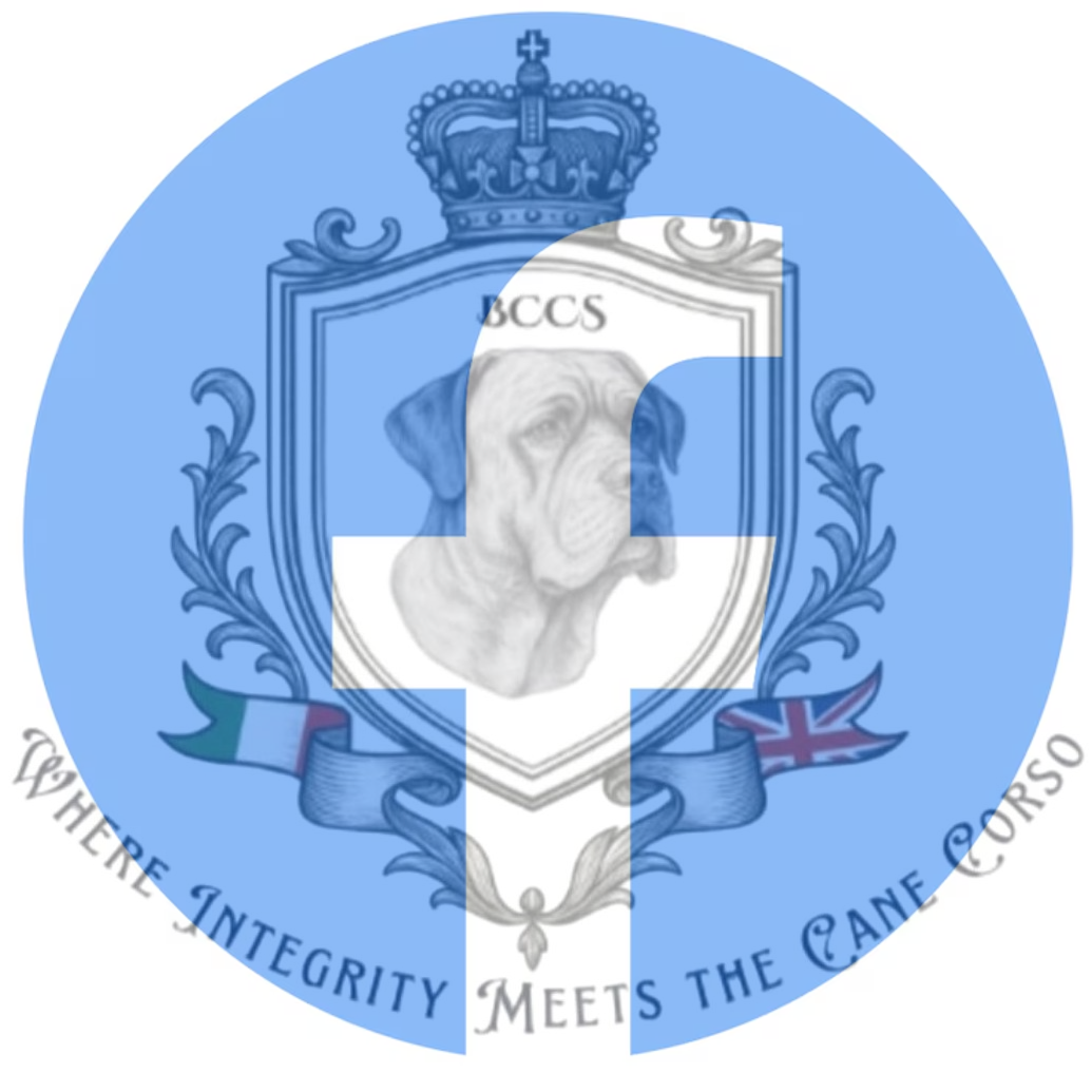 bccslogofinal_v2.jpeg