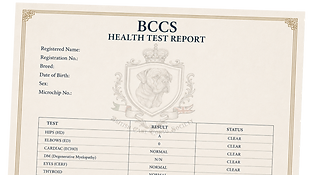 BCCS - Health Test.png