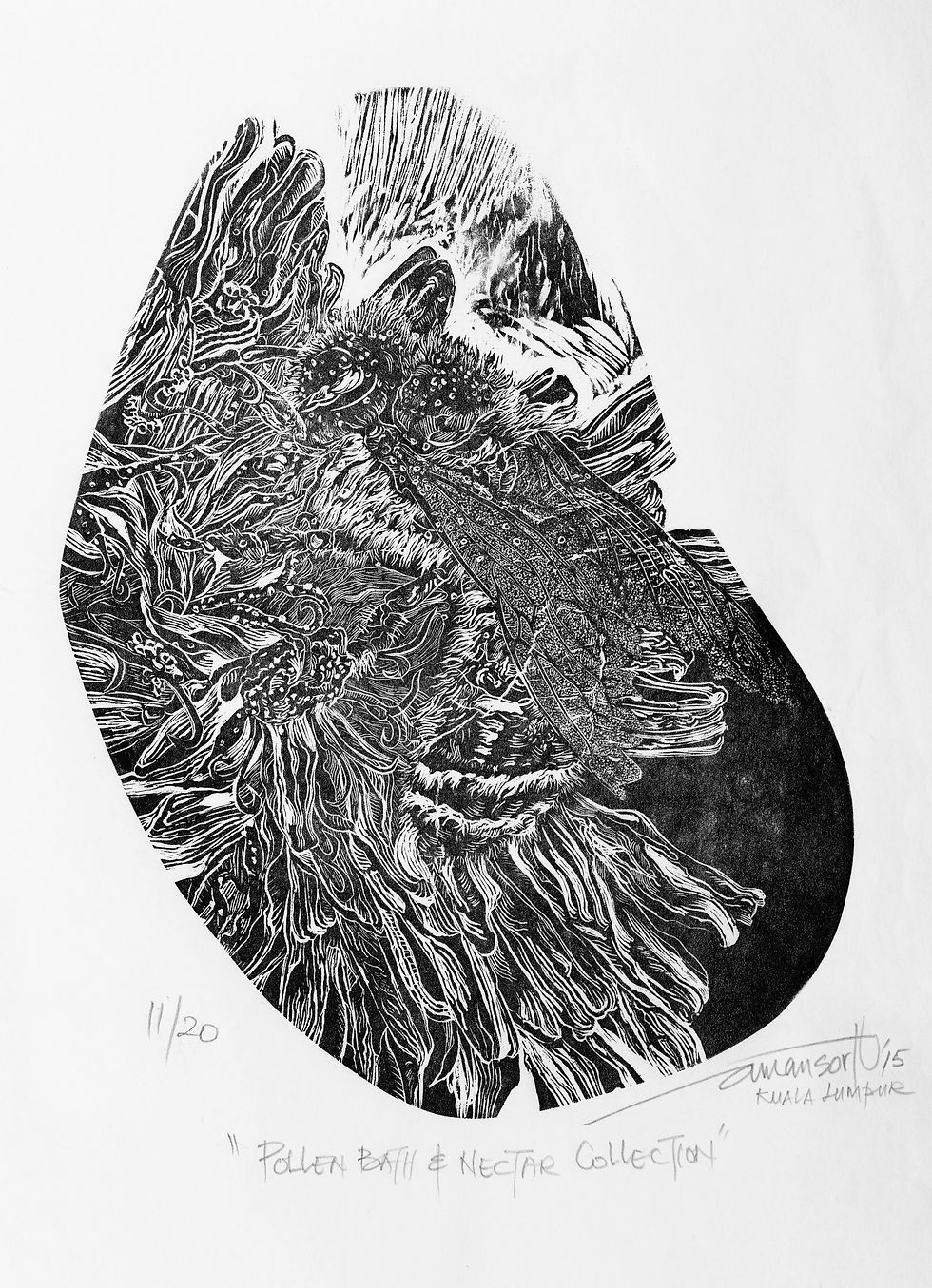 Pollen Bath & Nectar Collection,27.3cm x 21cm, End grain 'ciku' wood engraving on Rice Paper, 2015