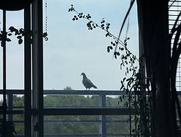 IMG_4760.jpeg