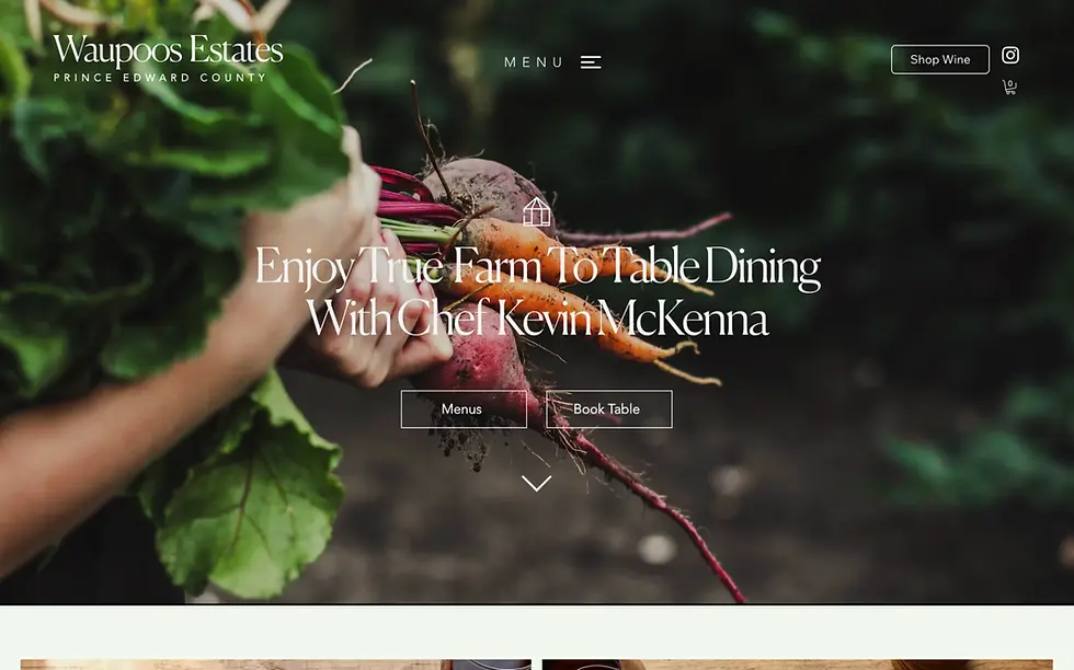 Gemini_Generated_Image_oa2o9toa2o9toa2o (1)_edited_edited.png