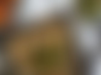 Asparagus and Mushroom Galette (grain free and gluten free)