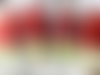 Watermelon Chia Popsicles