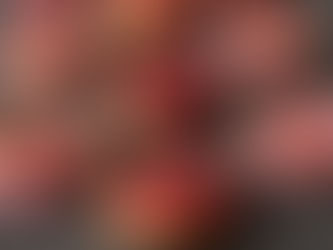 Grain Free and Gluten Free Donuts