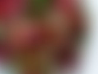 Winter Radicchio, Blood Orange & Fennel Salad