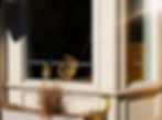 Store_Studio_header.jpg