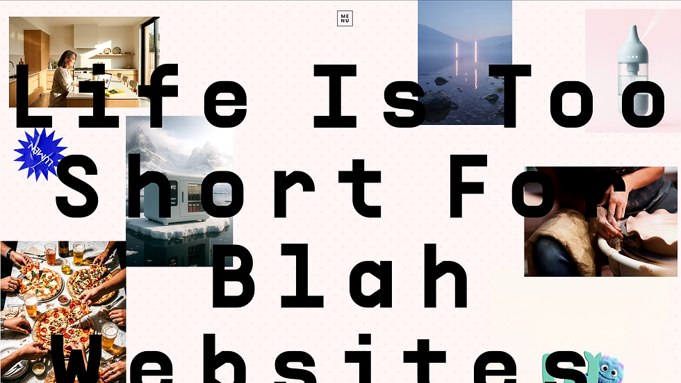 Lumen Design homepage image with text that reads Life Is Too Short For Blah Websites surrounded by high quality website photos