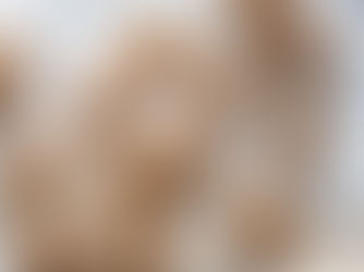 Blueberry Banana Ginger Spelt Oat Muffins