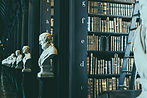 Collection of legal books representing Rosi Legal's comprehensive legal knowledge.