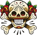 Colorful Skull