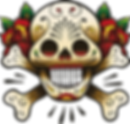 Colorful Skull