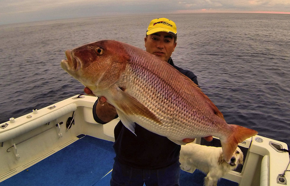 camerotasportfishing