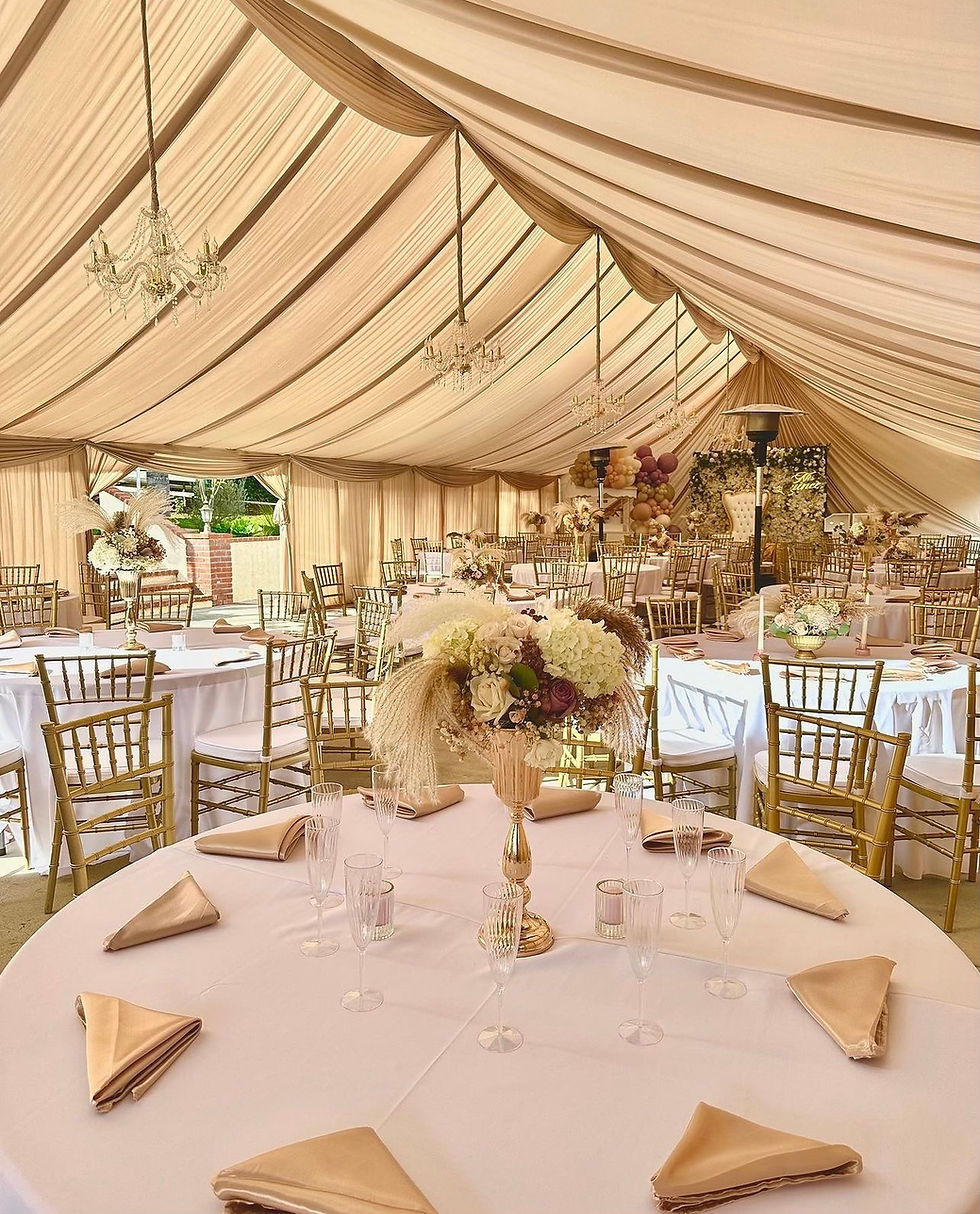 Thumbnail: 20x90 Standard Tent Drape