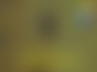 "É tudo muito novo"