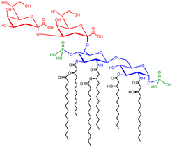 Kdo2-lipidA.png