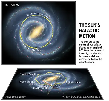 Suns orbit in MW.webp