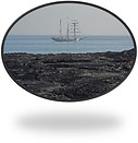 Galapagos.jpg