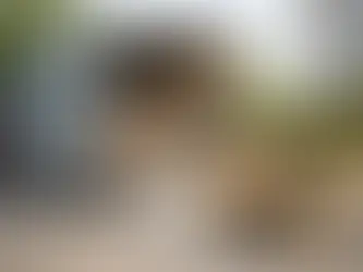 Kofferanhänger für Umzug richtig wählen