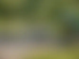 Welcher Anhänger für Gartenabfälle passt?