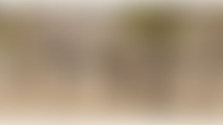 #Urgent #attaque #terroriste à #TINZAOUATENE : De lourde perte pour les ennemis