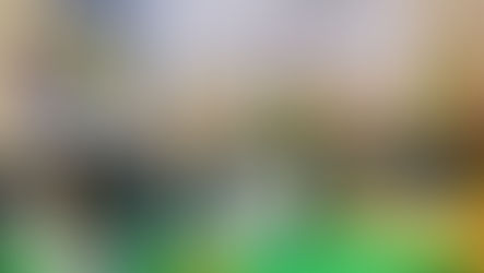 Célébration de la cinquième édition de la Journée africaine de l’état civil