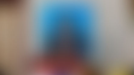 Vulgarisation de la nouvelle Constitution : La stratégie et les moyens mis en place