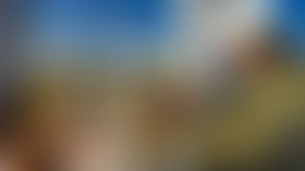 L’Algérie réduit les quantités de gaz fournies à l’Espagne