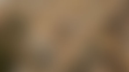 Ghana : au moins dix-sept morts dans l’explosion d’un camion