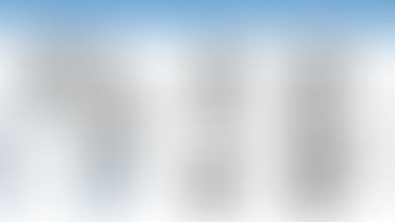 LE MERCENAIRE : Définition et évolution du concept en Afrique