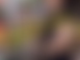 The House No One Sees